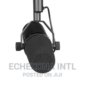Sm 7b Microphone