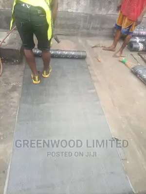 Roof Leakage and Repairs