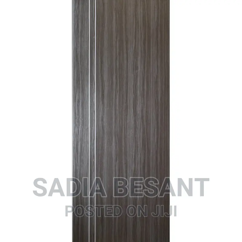 Contemporary Flush Door