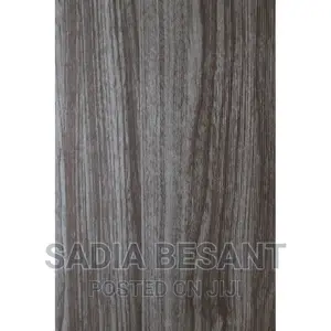 Contemporary Flush Door