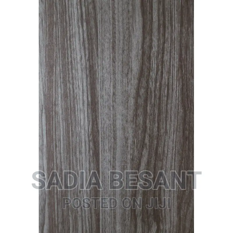 Contemporary Flush Door