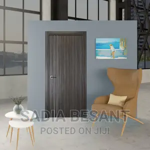 Contemporary Flush Door