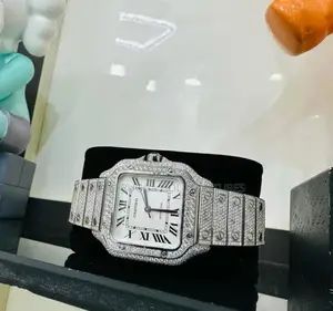 Pure VVS Diamond Catier Watch