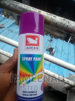 Multipurpose Spray Paint (Different Colours)