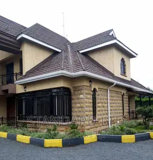 Roof Gutter Installation