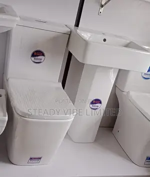 Quality VSTAR Top Flush Ceramic Water Closet.