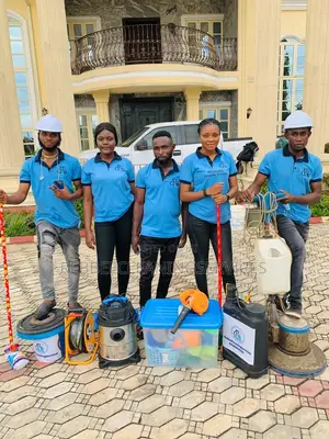 Well Equipped Professional Cleaner