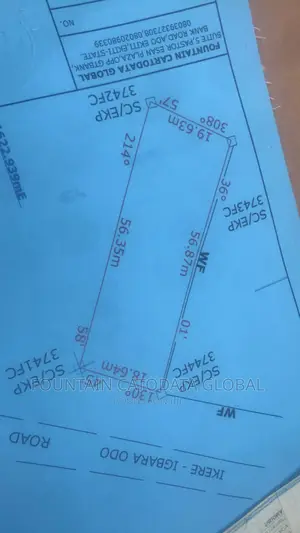 A Land Surveyor