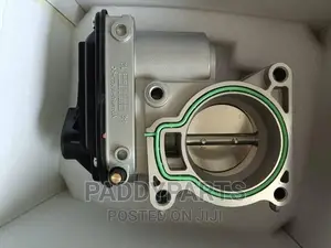 Ford Focus Throttle Body/Injector Mouth
