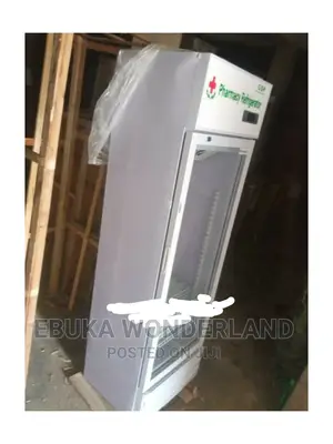 Pharmacy Refrigerator 120l