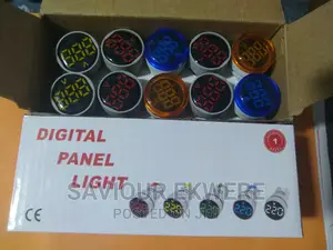 Panel Light/Indicator Light