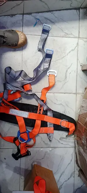 Body Harness Workman