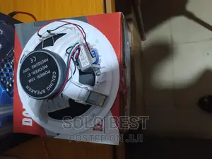15 Wat Celling Speaker