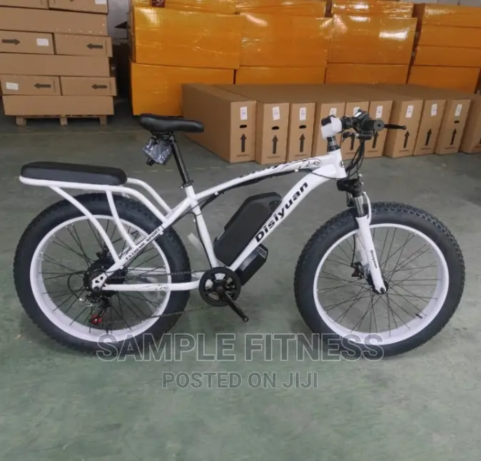 Best Quality Electric Bicycle With Carrier