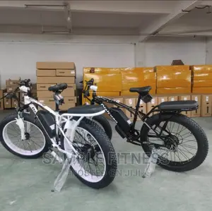 Best Quality Electric Bicycle With Carrier
