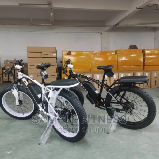 Best Quality Electric Bicycle With Carrier