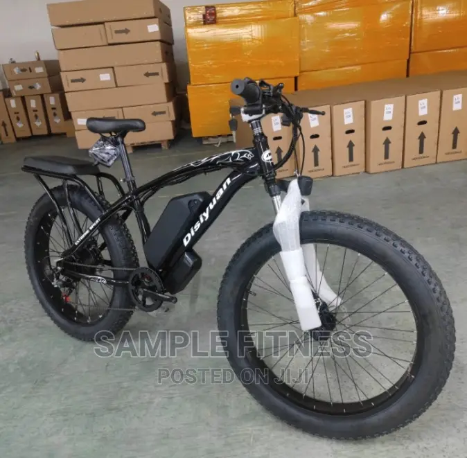 Best Quality Electric Bicycle With Carrier