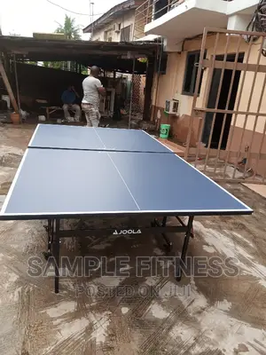 New Imported Joola Indoor Table Tennis