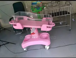 Pink Plaster Baby Cot