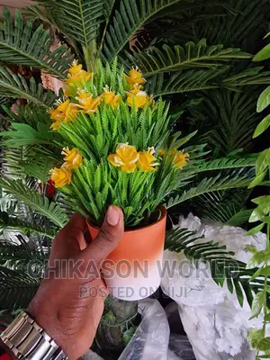 Table Flowers