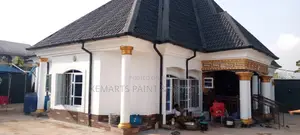 Emulsion Paint