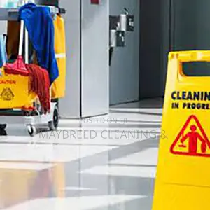 House Cleaning and Upholstery Cleaning Service+ 