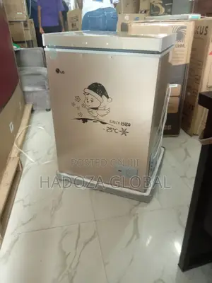 Efficient LG Chest Freeezer 100L:Gc-160: