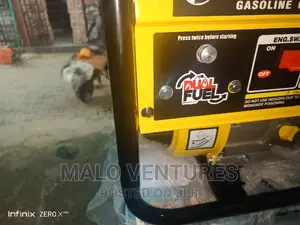 4.5kva Natural Gas Elepaq Generator 100% Copper