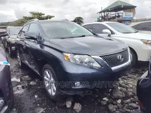 Lexus RX 350 2010 Gray