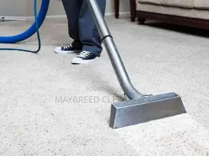 Rug Upholstery Cleaning+ 