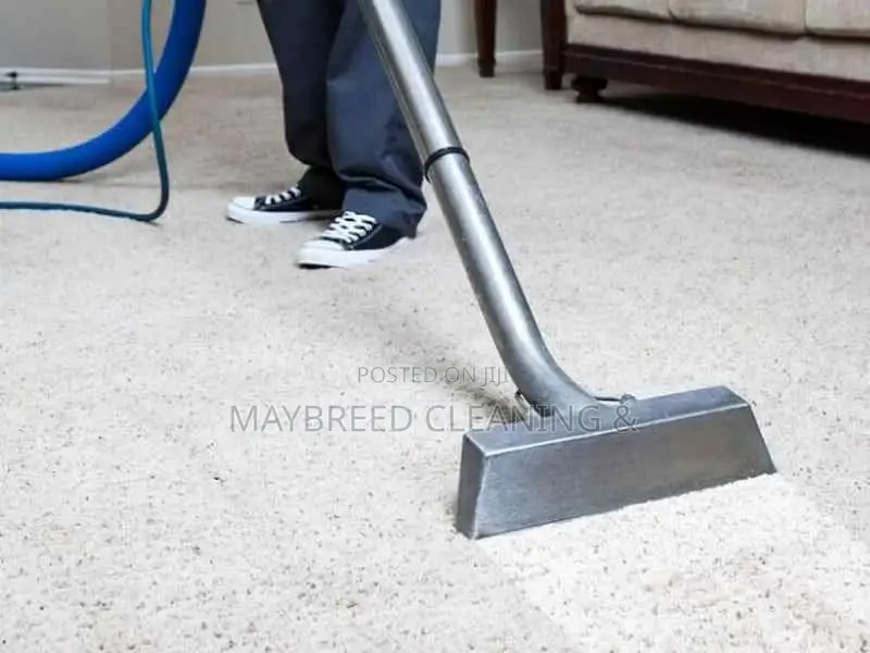 Rug Upholstery Cleaning+ 