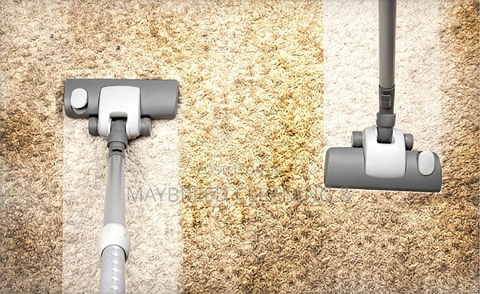 Carpet Rug Cleaning--