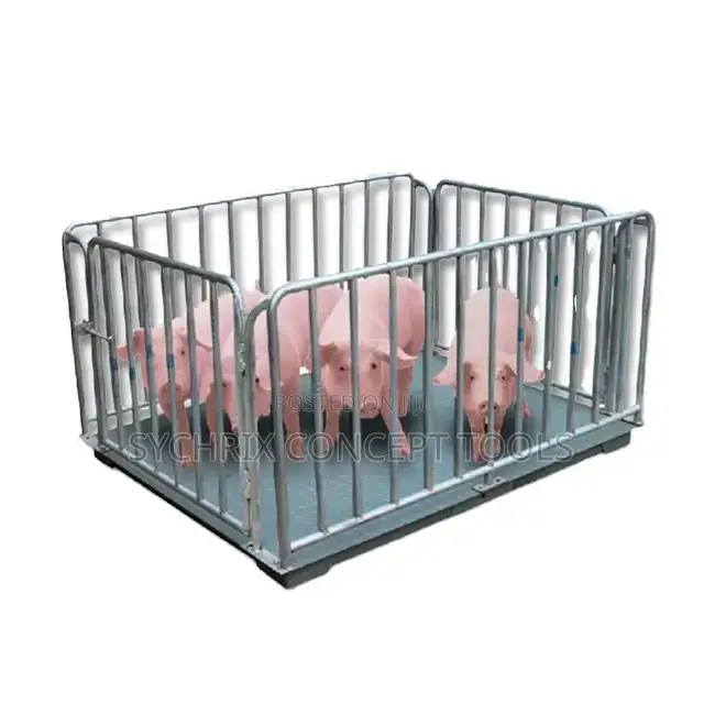 3ton Floor Scale With Cage and A12 Display 1mtr X 1.5mtr