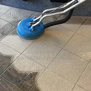 Couch, Carpet, House Cleaning-