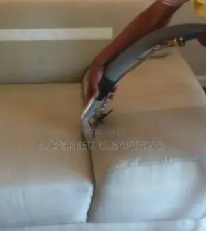 Best Couch Upholstery Cleaning S-