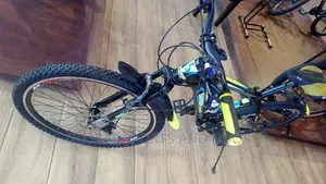 Philip's Sport Bicycle