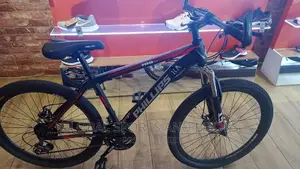 Philip's Sport Bicycle