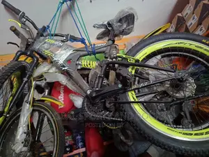 Double Shock Bicycle
