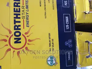 230ah 12v Northern Star Battery