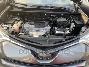 Toyota RAV4 Platinum AWD (2.5L 4cyl 6A) 2017 Gray
