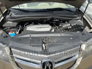 Acura MDX 2008 Gold