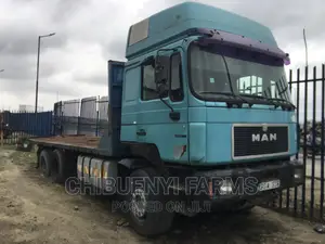 Man DIESEL Flat-Bed Spring-Spring 10 Tyres