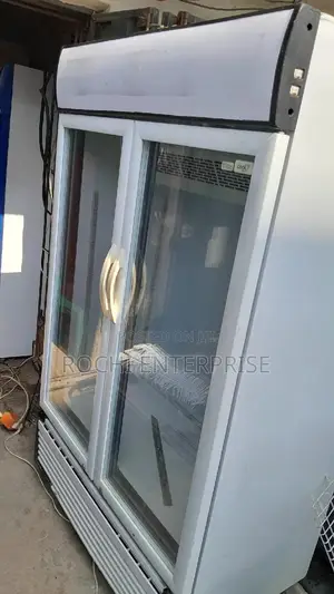 Double Door Chiller Display Chiller Refrigerator Beverages