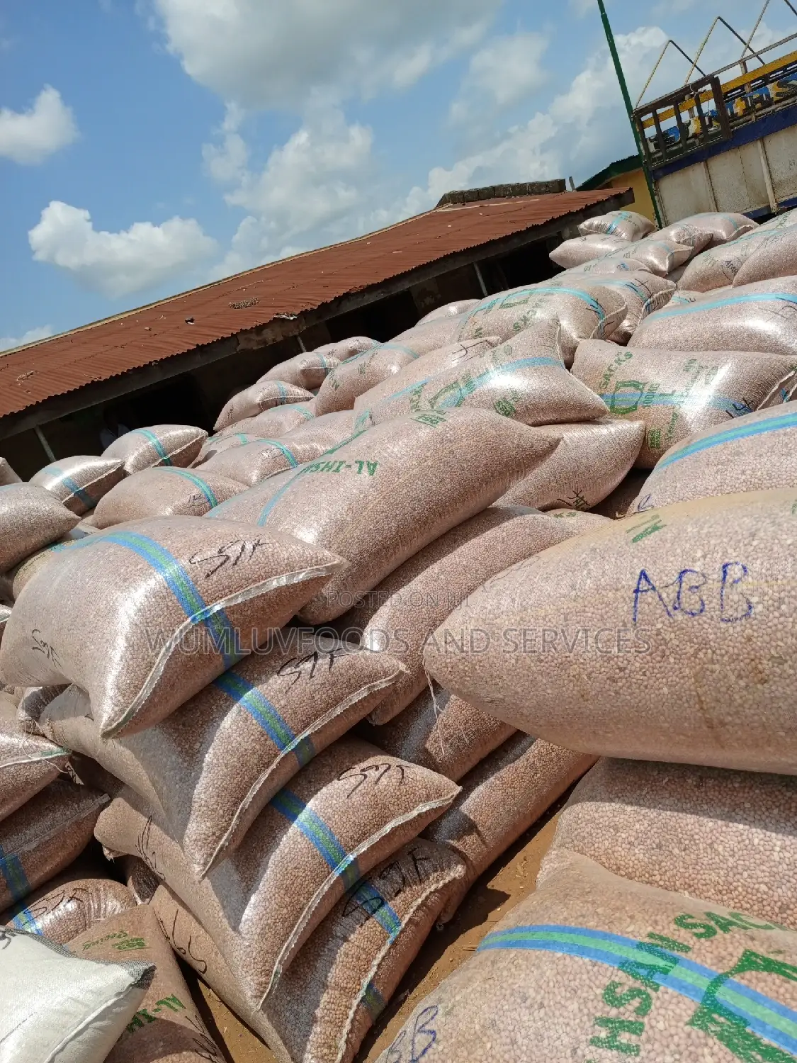 Groundnut Available in Varieties