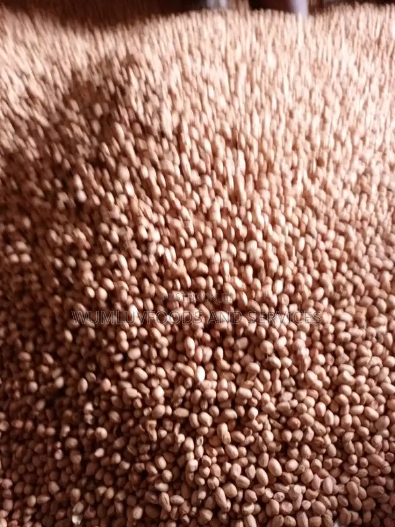 Groundnut Available in Varieties