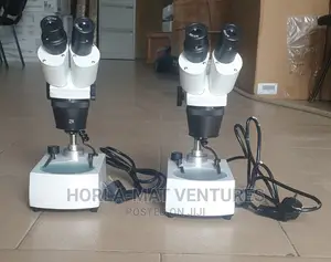 Binocular Stereo Microscope (Paleontological) (2x/4x)
