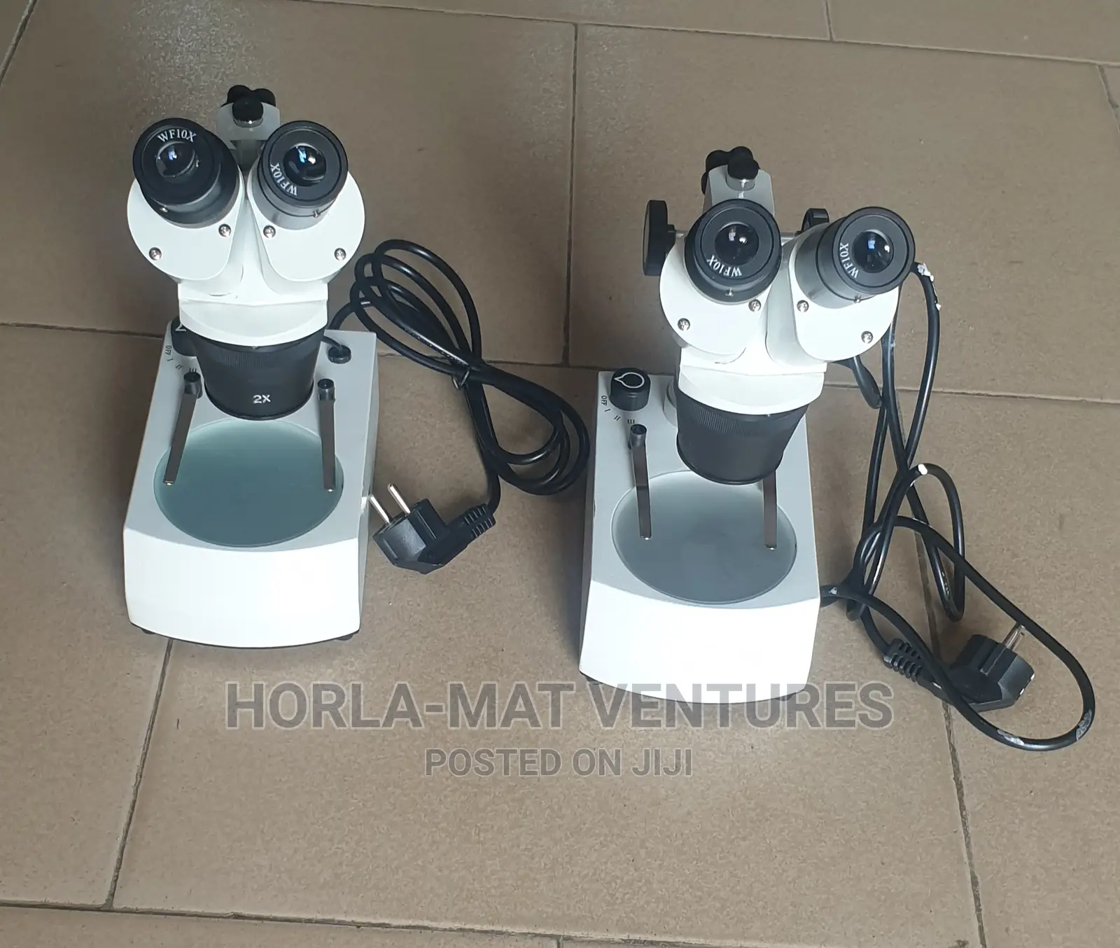 Binocular Stereo Microscope (Paleontological) (2x/4x)