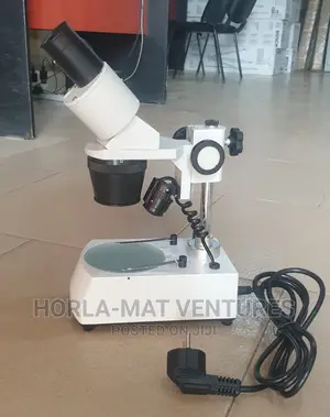 Binocular Stereo Microscope (Paleontological) (2x/4x)