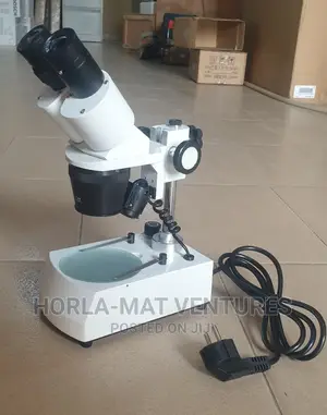 Binocular Stereo Microscope (Paleontological) (2x/4x)