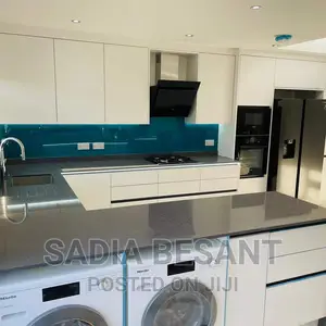 Contemporary Kitchen Cabinets